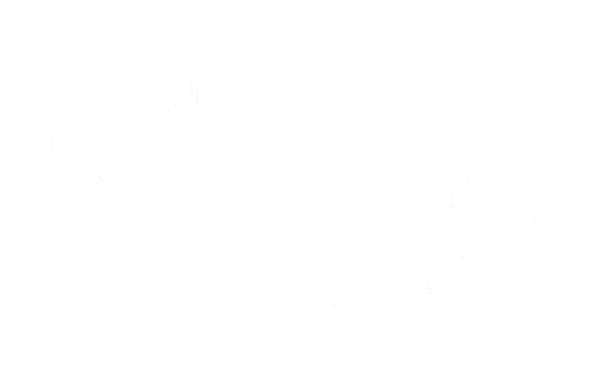 Google partners Digital Champions sertifikatas
