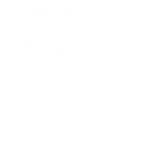 Meta Creative strategy professional sertifikatas