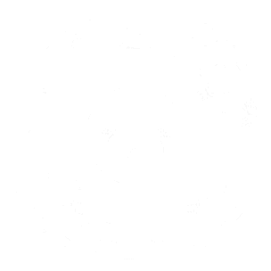 Google ads search sertifikatas