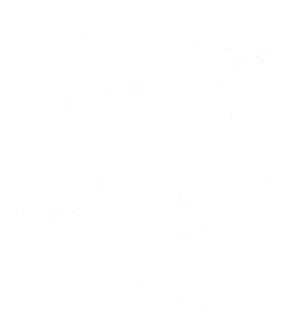 Google ads video sertifikatas