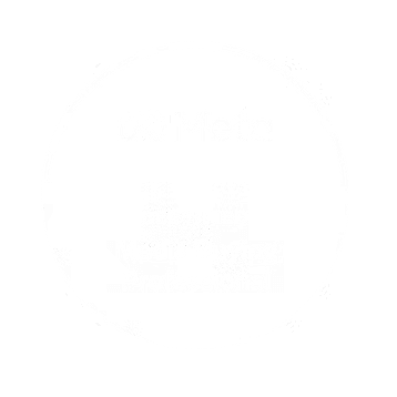 Meta Media buying professional sertifikatas