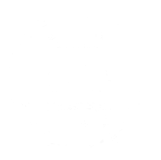 Youtubė champion sertifikatas